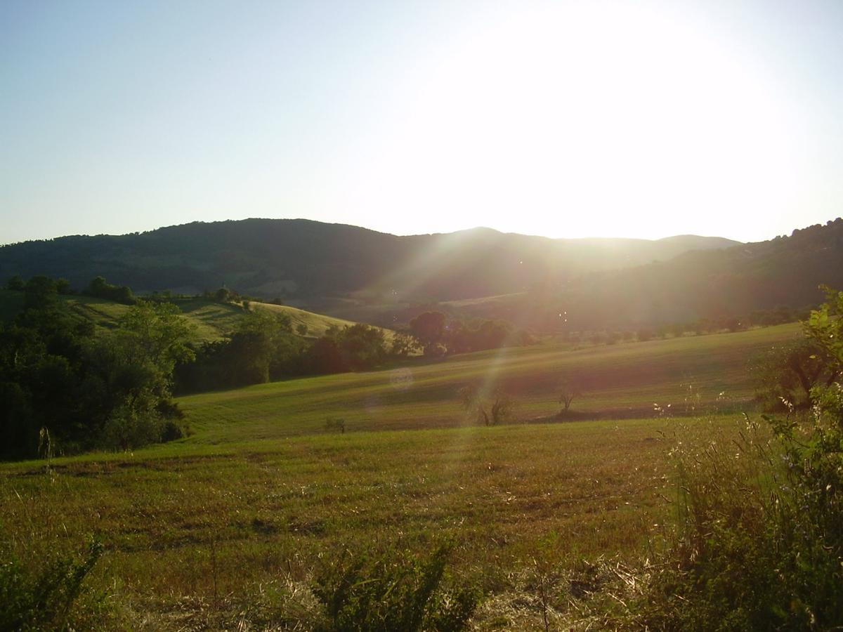 Belvilla By Oyo Il Camino Montespertoli Esterno foto